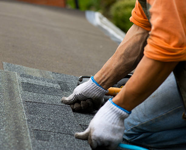 Best Commercial Roof Installation  in Orion, IL