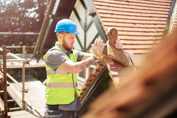 Best Gutter Installation and Roofing  in Orion, IL
