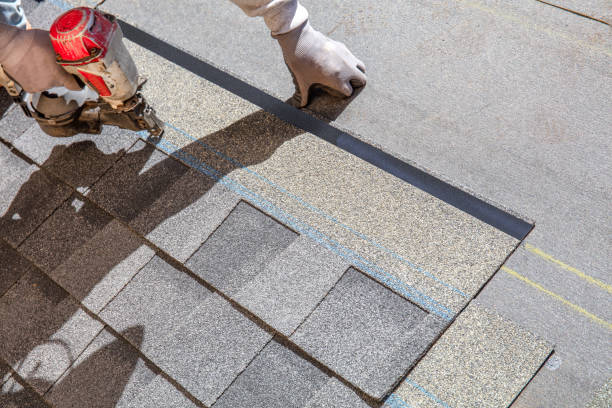 Best Roof Leak Repair  in Orion, IL
